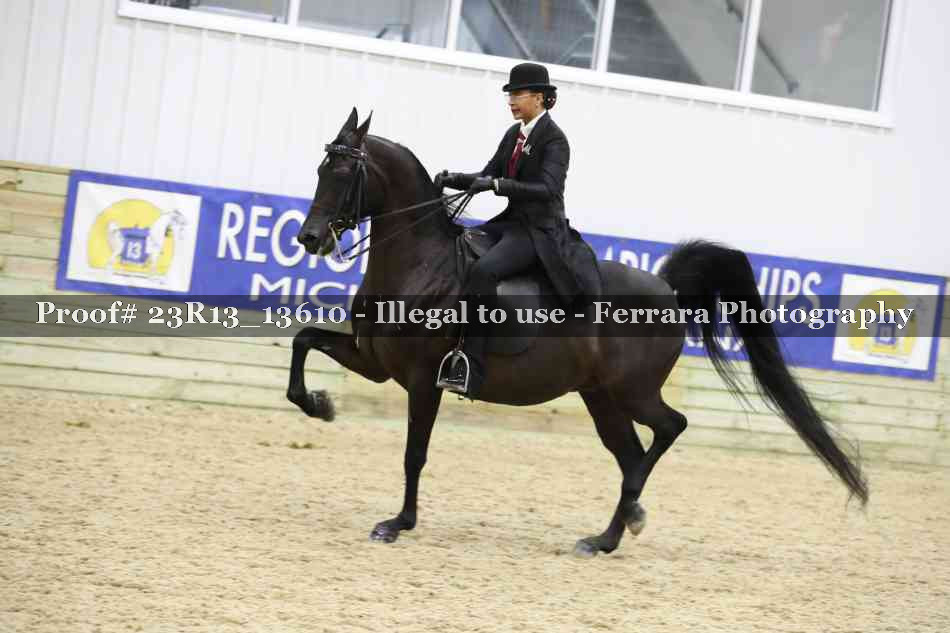 Proof 23R13_13610