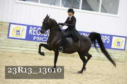 23R13_13610 proof