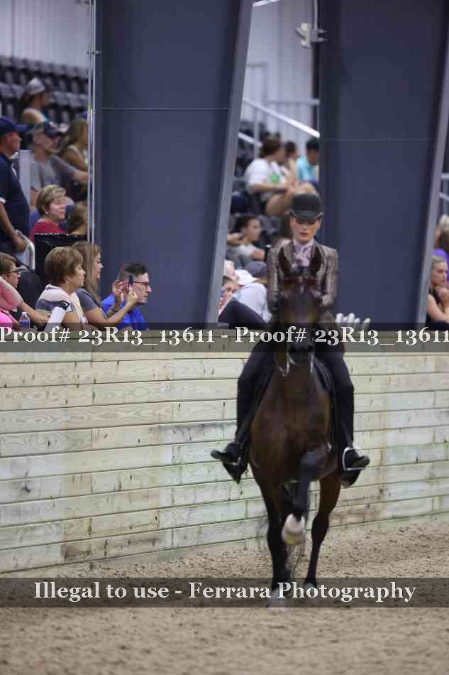 Proof 23R13_13611