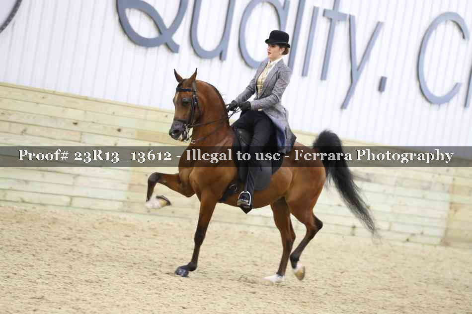 Proof 23R13_13612