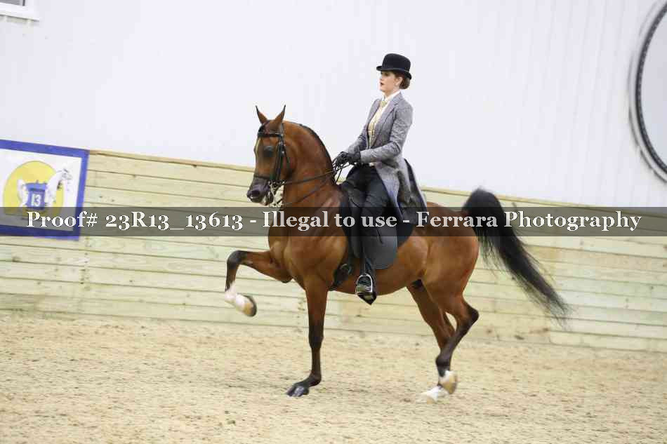 Proof 23R13_13613