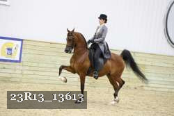 23R13_13613 proof