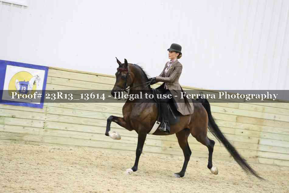 Proof 23R13_13614