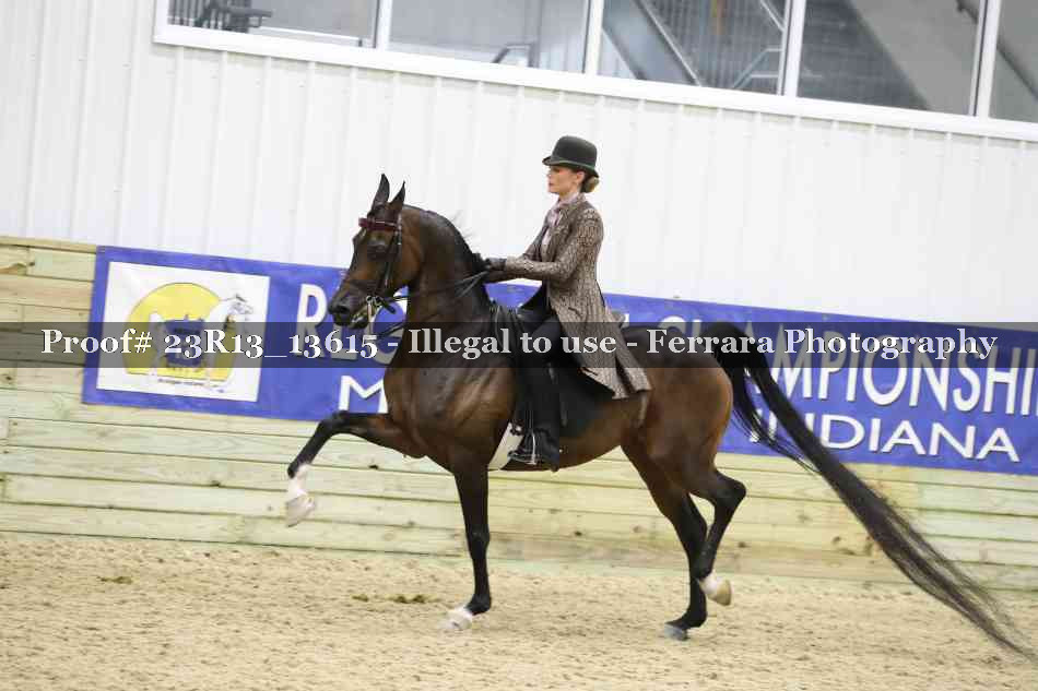 Proof 23R13_13615