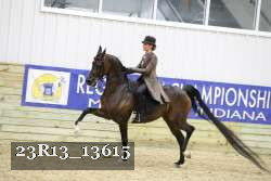 23R13_13615 proof