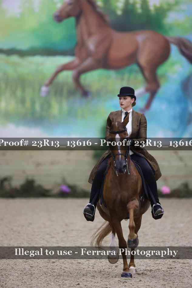 Proof 23R13_13616