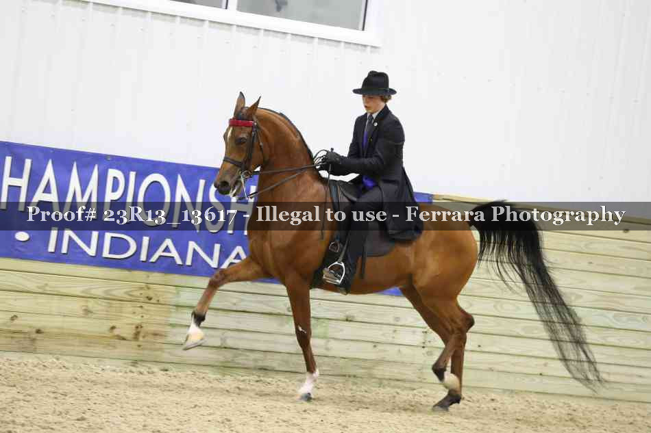 Proof 23R13_13617
