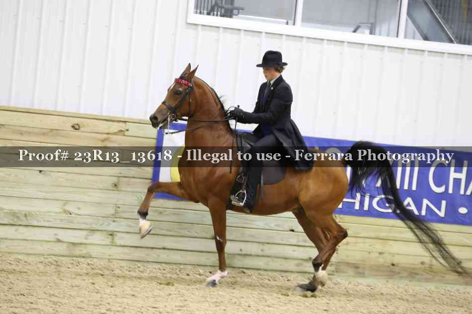 Proof 23R13_13618