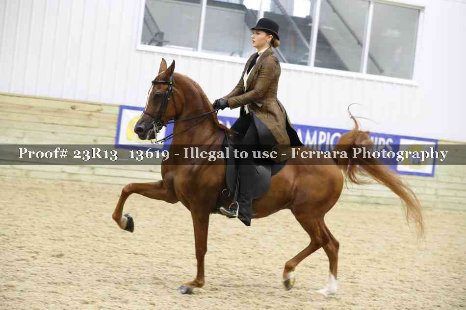 Proof 23R13_13619
