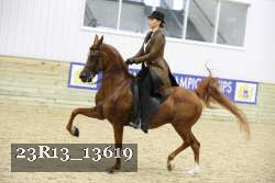 23R13_13619 proof