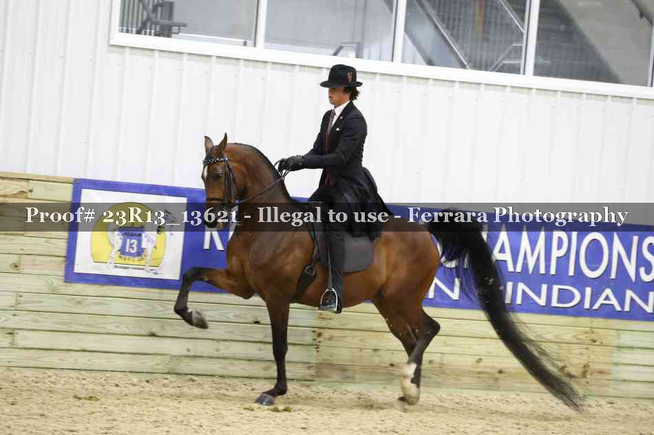 Proof 23R13_13621