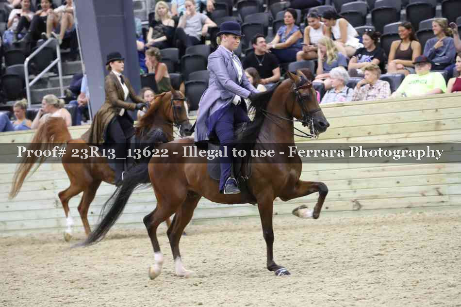 Proof 23R13_13622