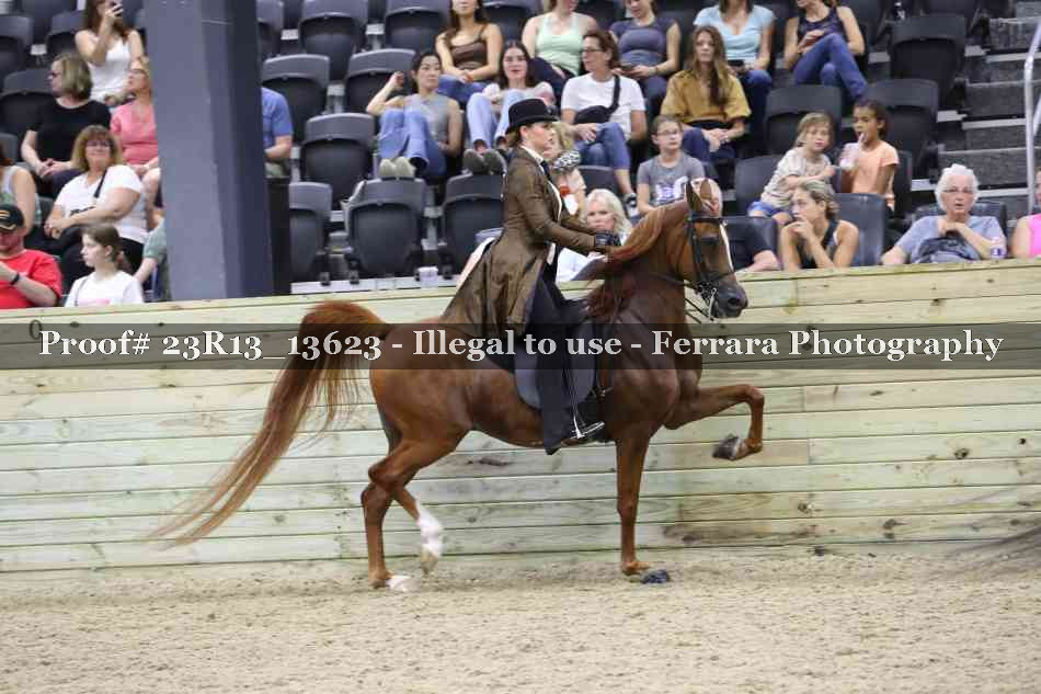 Proof 23R13_13623