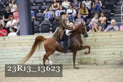 23R13_13623 proof