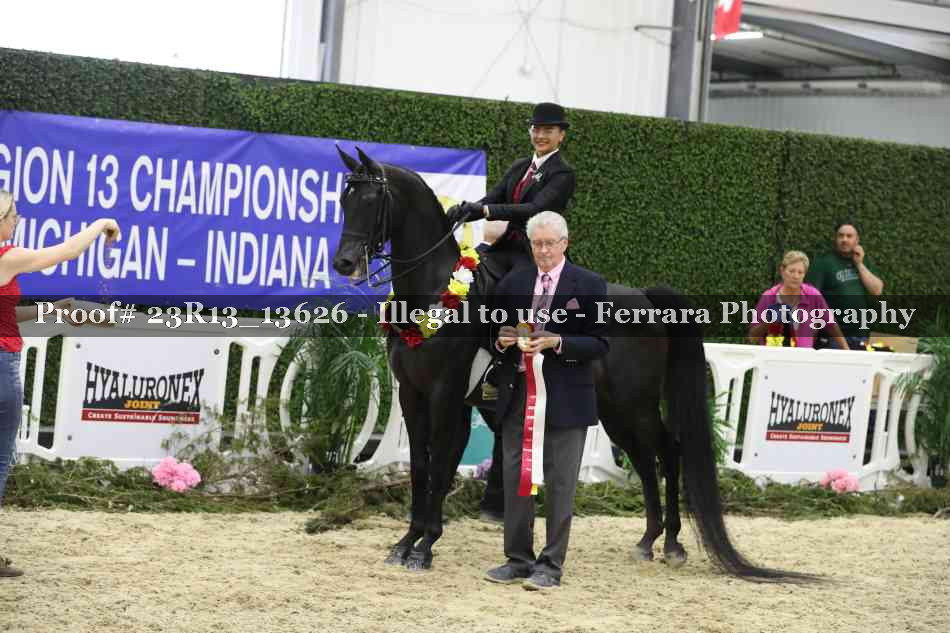 Proof 23R13_13626
