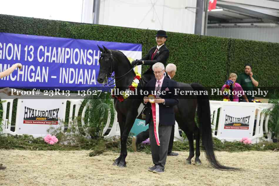 Proof 23R13_13627