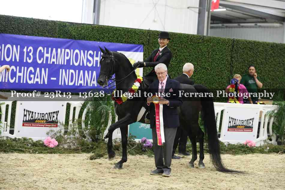 Proof 23R13_13628
