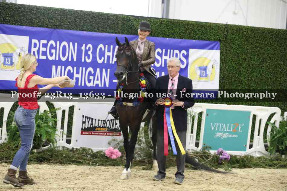 Proof 23R13_13633