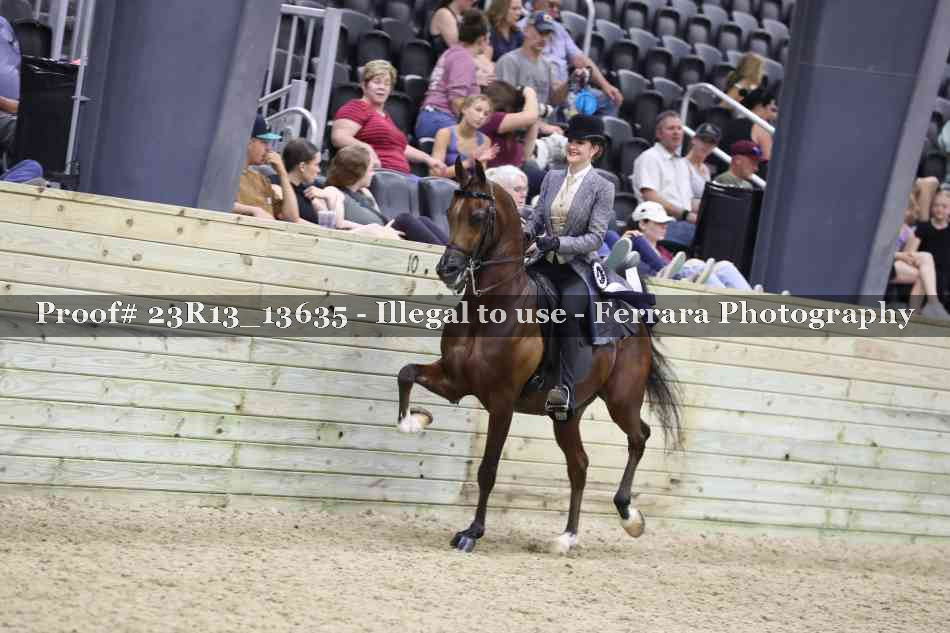 Proof 23R13_13635