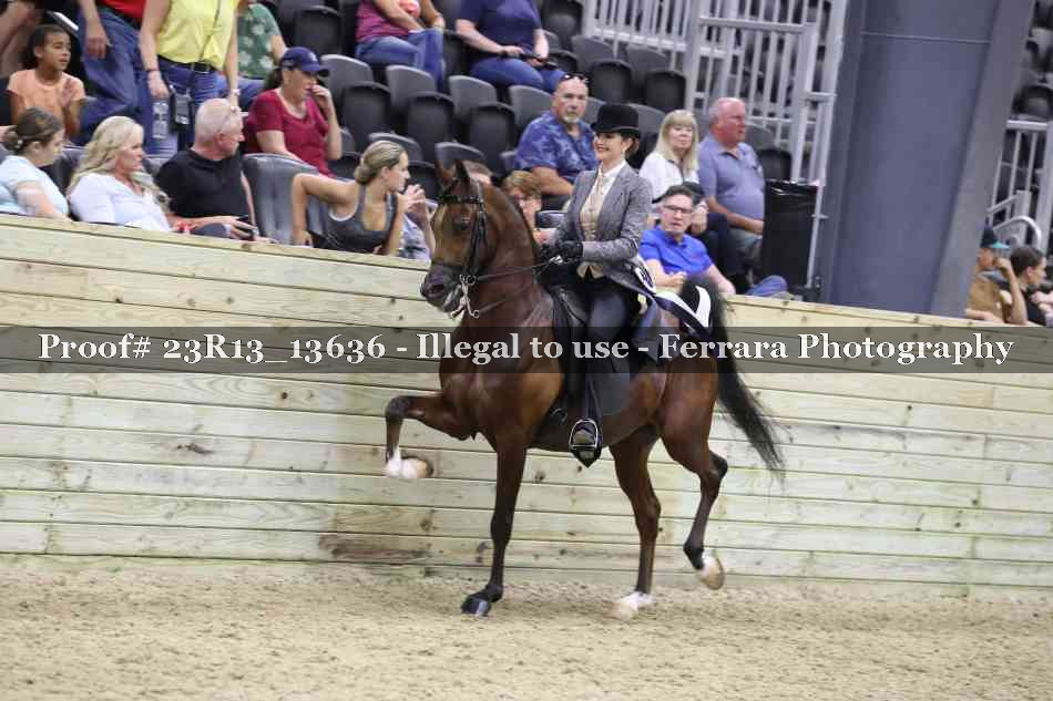 Proof 23R13_13636