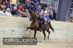 23R13_13636 proof