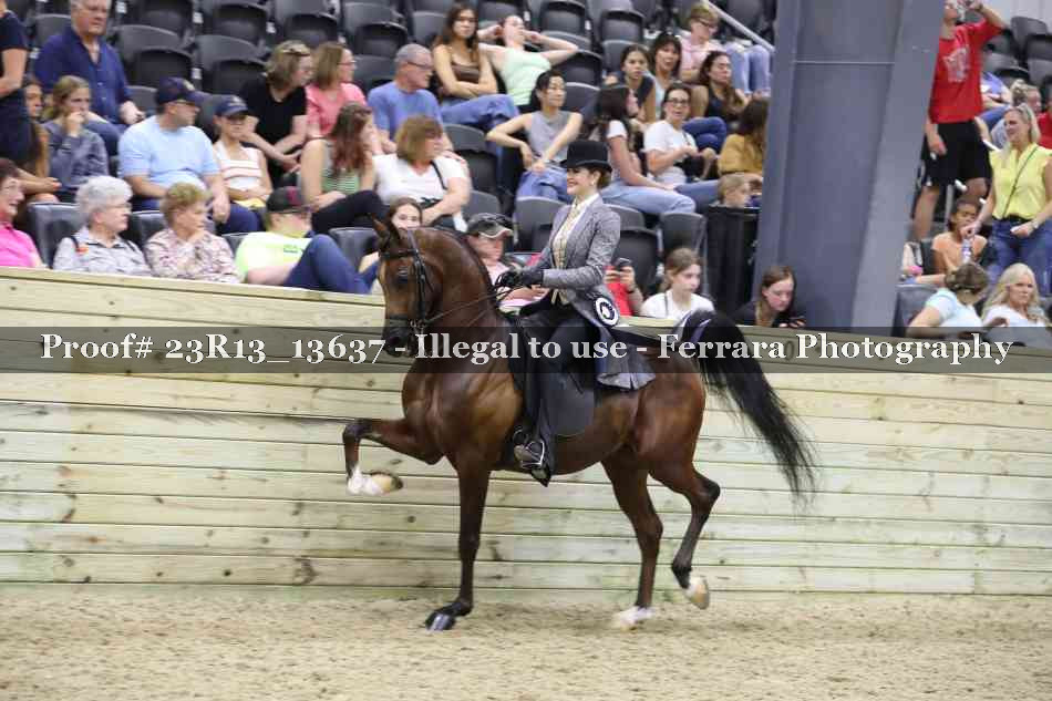 Proof 23R13_13637