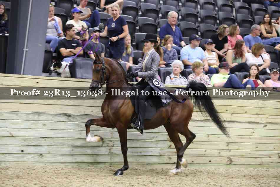 Proof 23R13_13638