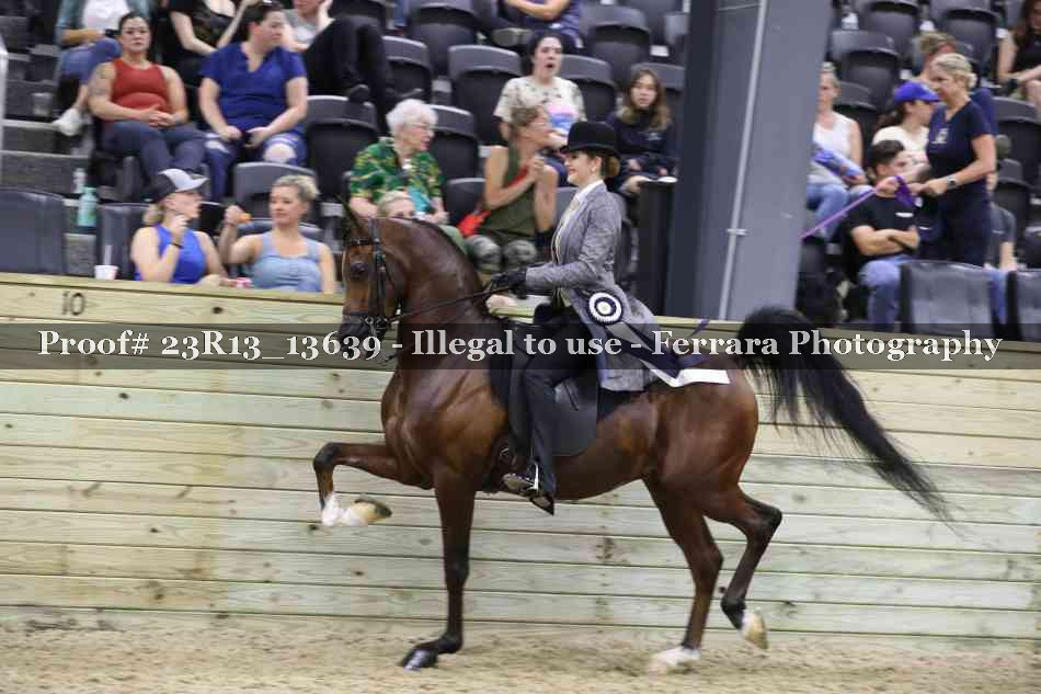 Proof 23R13_13639
