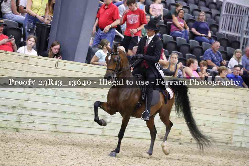 Proof 23R13_13640