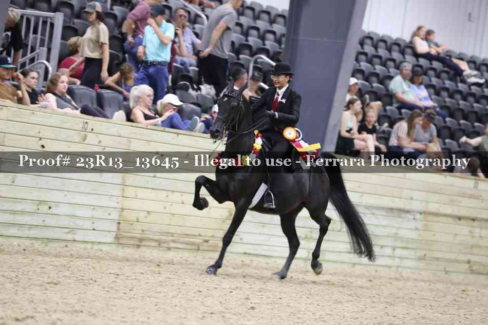 Proof 23R13_13645