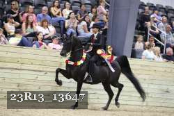 23R13_13647 proof