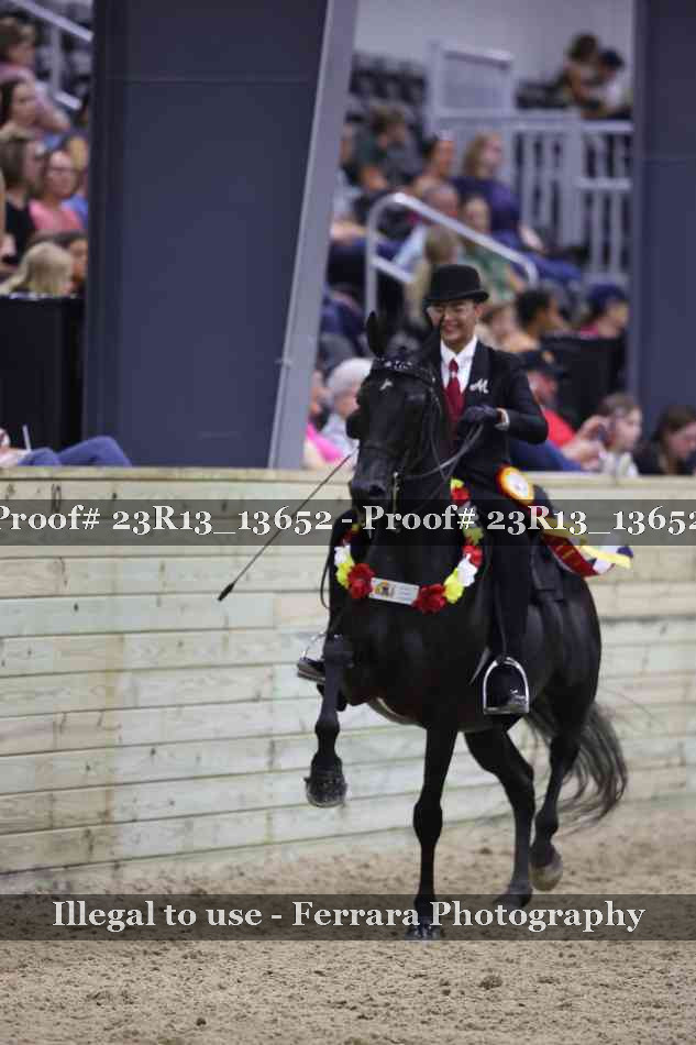 Proof 23R13_13652