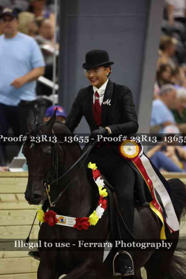 Proof 23R13_13655