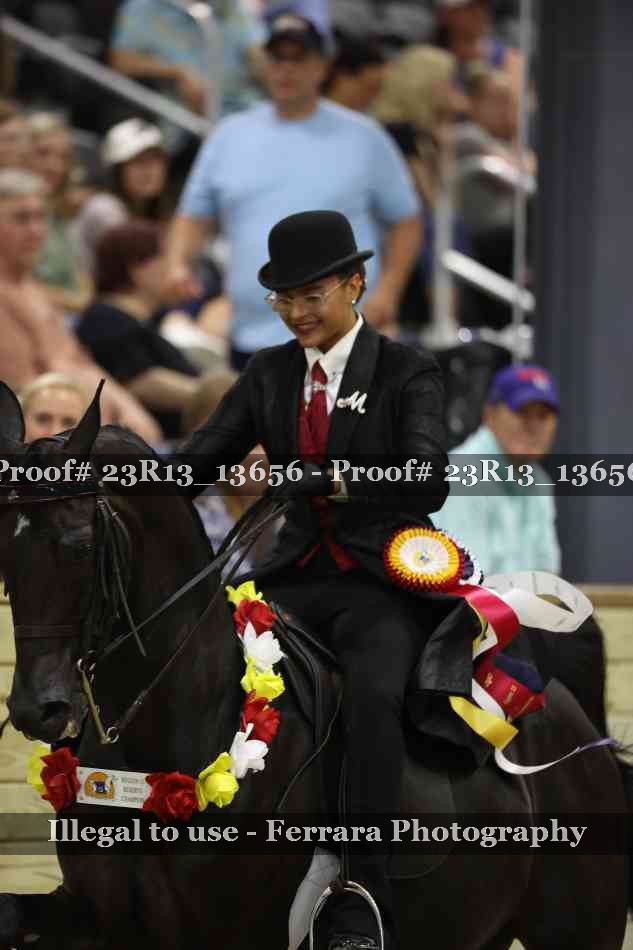 Proof 23R13_13656