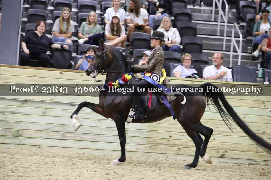 Proof 23R13_13660