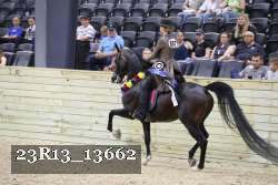 23R13_13662 proof