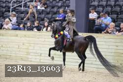 23R13_13663 proof