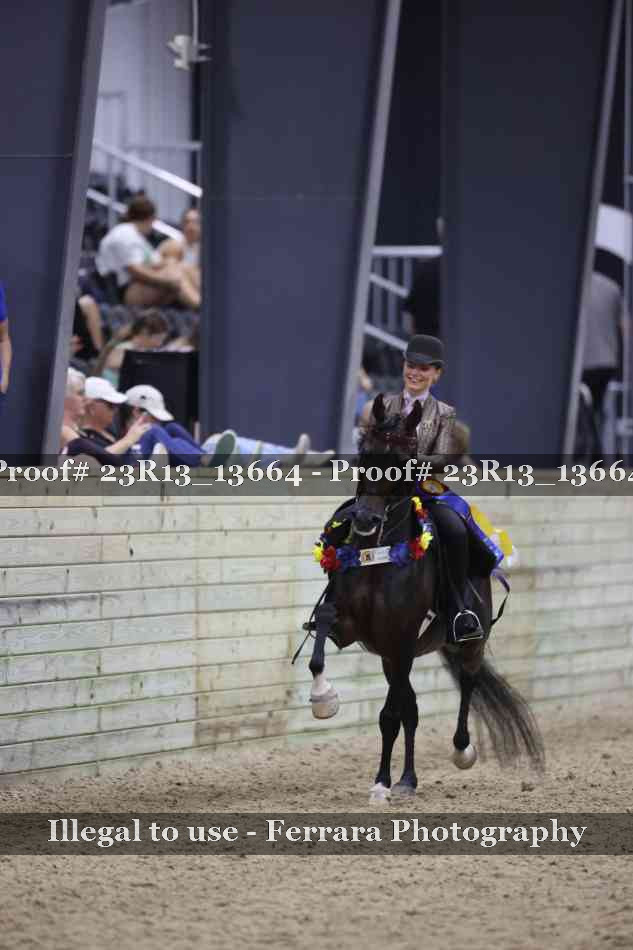 Proof 23R13_13664