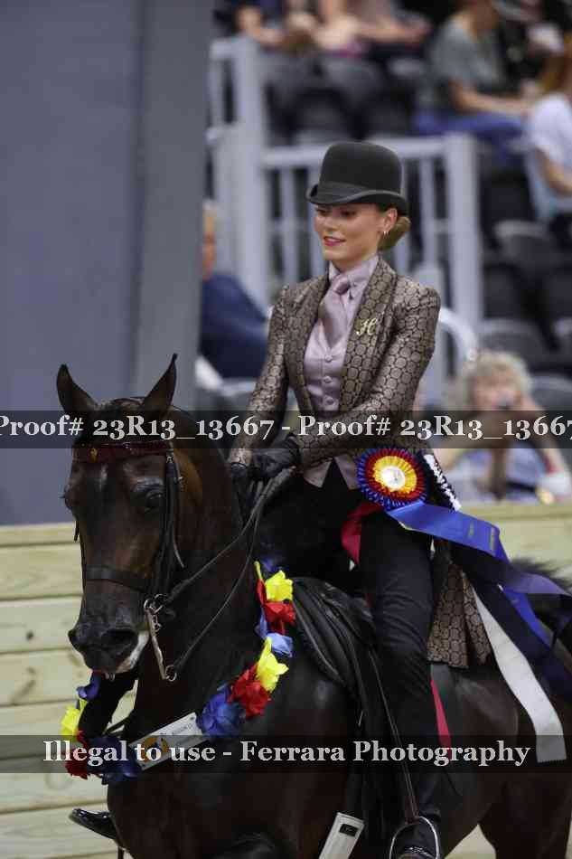 Proof 23R13_13667