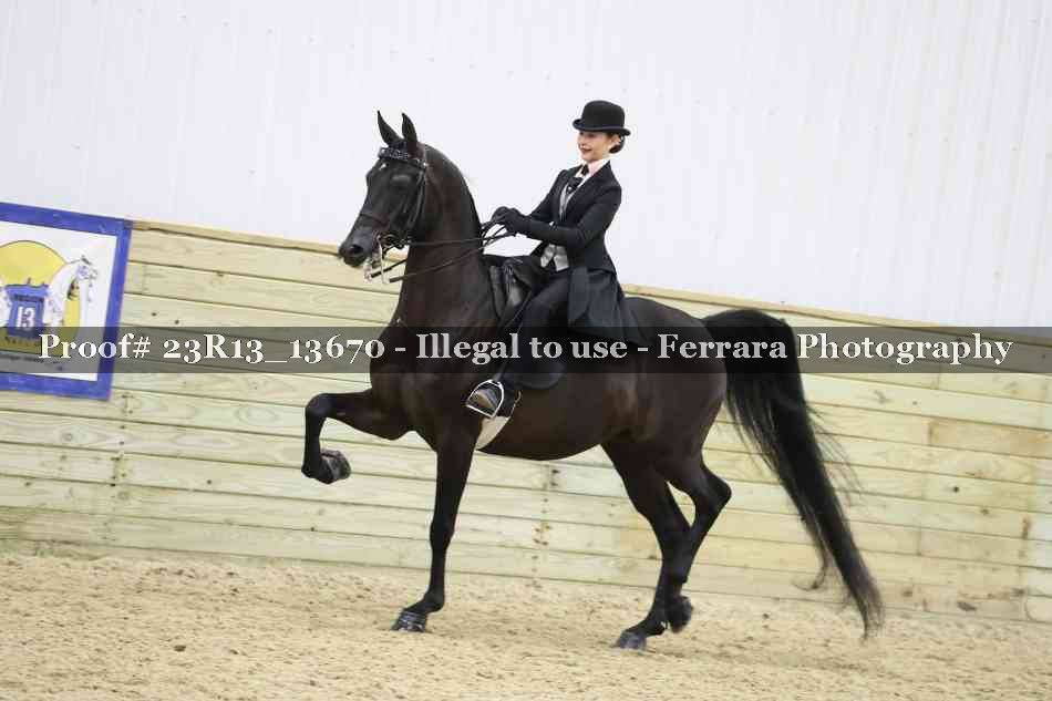 Proof 23R13_13670