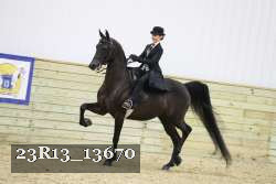 23R13_13670 proof