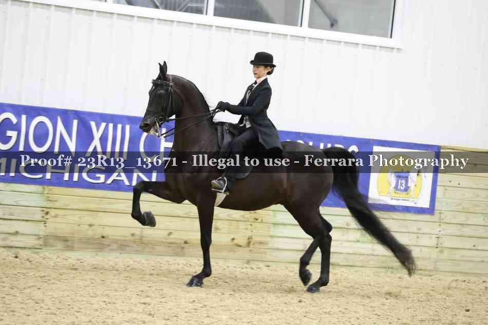 Proof 23R13_13671