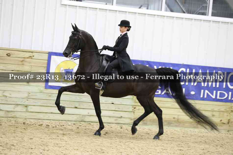 Proof 23R13_13672