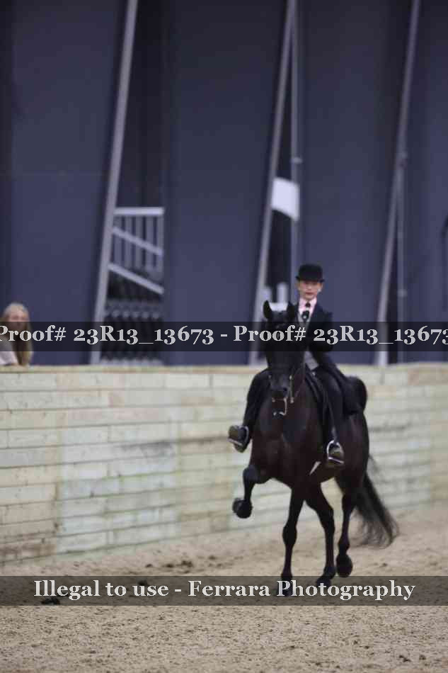 Proof 23R13_13673