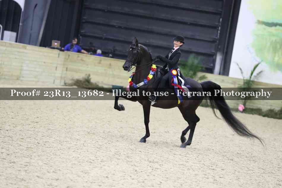 Proof 23R13_13682