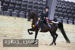 23R13_13685 proof