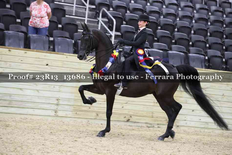 Proof 23R13_13686