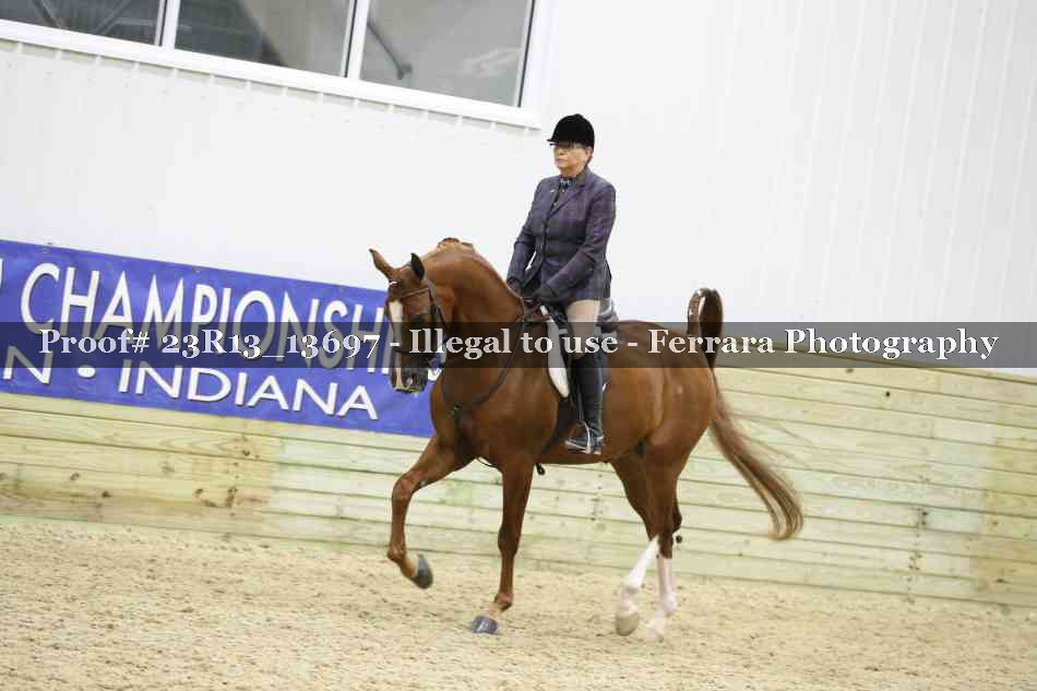 Proof 23R13_13697