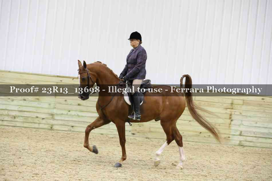 Proof 23R13_13698