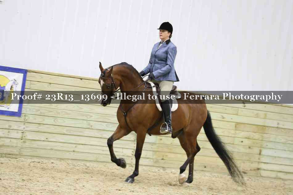Proof 23R13_13699